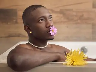 MaicolLogan hd livejasmine hd